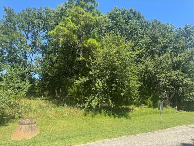TBD N Forest Cove Loop, Coldspring, TX 77331 - photo 1