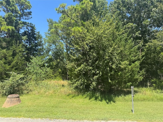 TBD N Forest Cove Loop, Coldspring, TX 77331 - photo 2