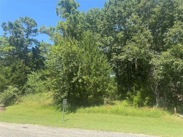 TBD N Forest Cove Loop, Coldspring, TX 77331 - photo 3