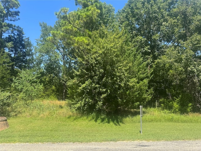 TBD N Forest Cove Loop, Coldspring, TX 77331 - photo 4