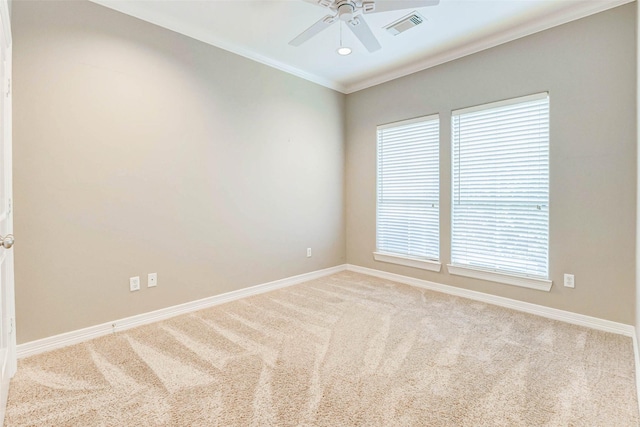 661 Hartman St, Houston, TX 77007 - photo 10