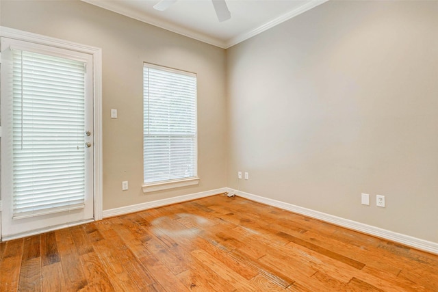 661 Hartman St, Houston, TX 77007 - photo 6