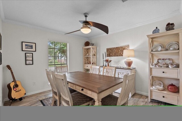 5206 Shady Oaks Ln, Friendswood, TX 77546 - photo 13