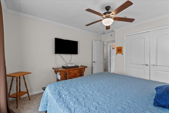 5206 Shady Oaks Ln, Friendswood, TX 77546 - photo 29