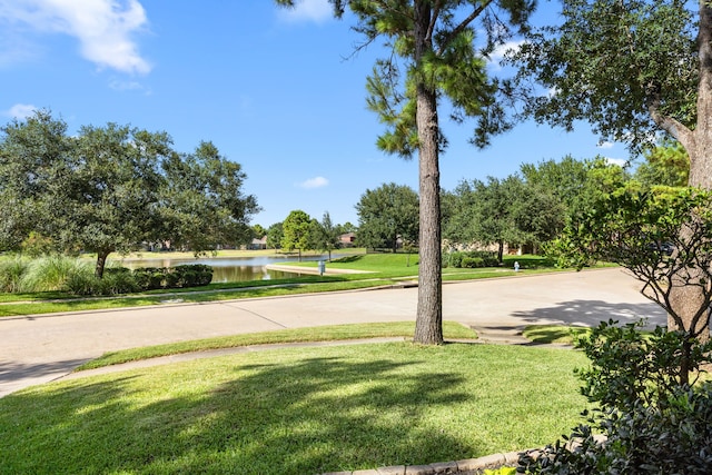 17603 Prospect Meadows Dr, Houston, TX 77095 - photo 29