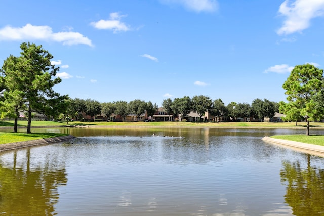 17603 Prospect Meadows Dr, Houston, TX 77095 - photo 34
