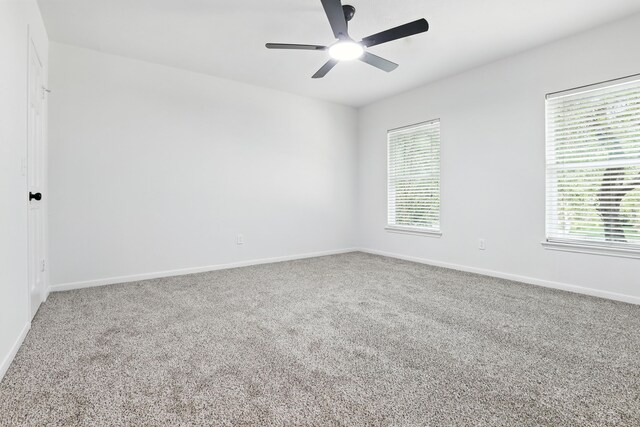 8306 Hot Springs Dr, Houston, TX 77095 - photo 20