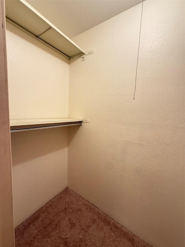 8101 Amelia Rd Unit 507, Houston, TX 77055 - photo 15