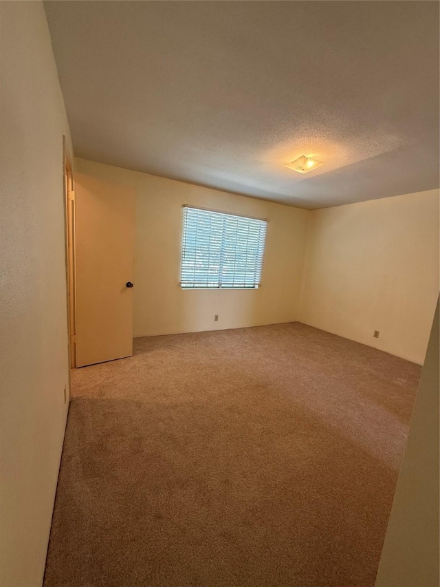 8101 Amelia Rd Unit 507, Houston, TX 77055 - photo 18