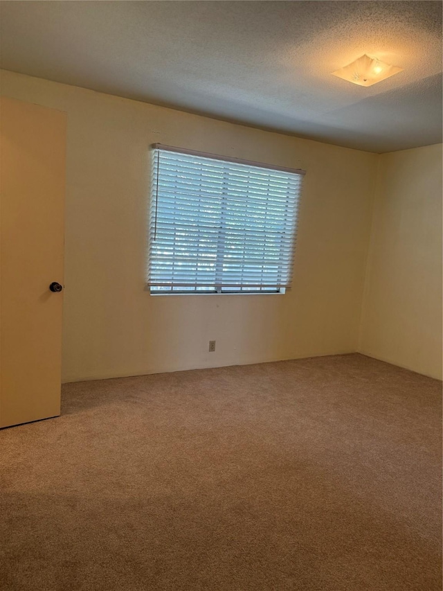 8101 Amelia Rd Unit 507, Houston, TX 77055 - photo 19
