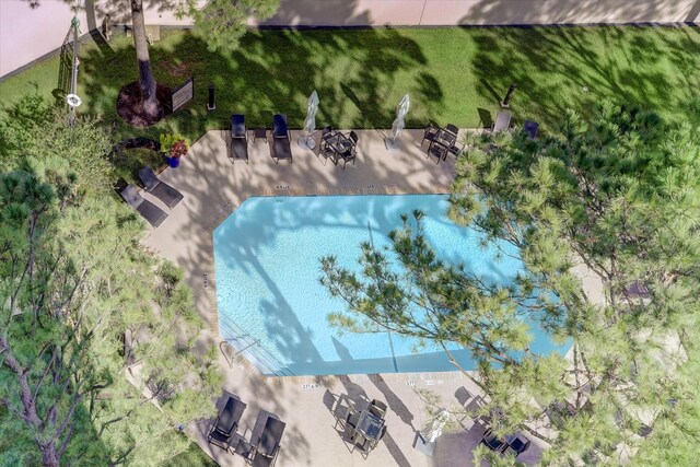 651 Bering Dr Unit 1705, Houston, TX 77057 - photo 29