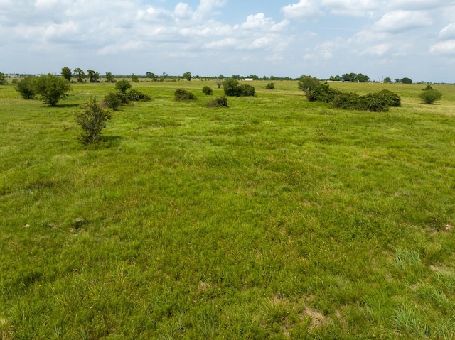 13 Wolchik Rd, Sealy, TX 77474 - photo 24