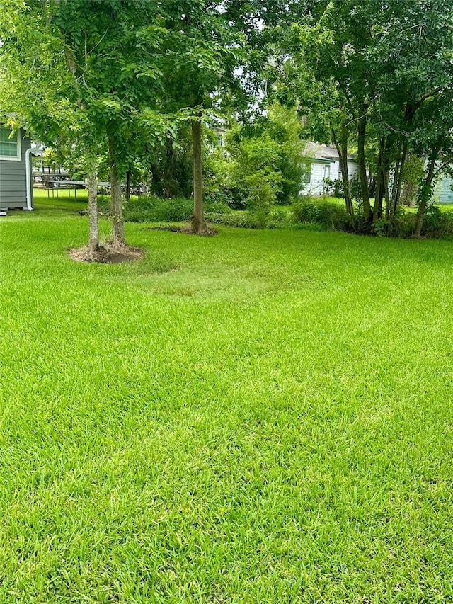 527 Brazoswood Dr, Clute, TX 77531 - photo 5