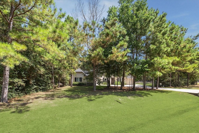9457 Parkview Dr, Waller, TX 77484 - photo 4