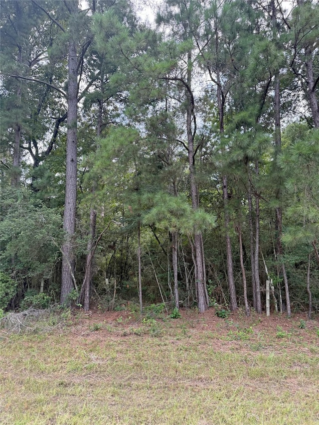 TBD Fm-980 N, Point Blank, TX 77364 - photo 2