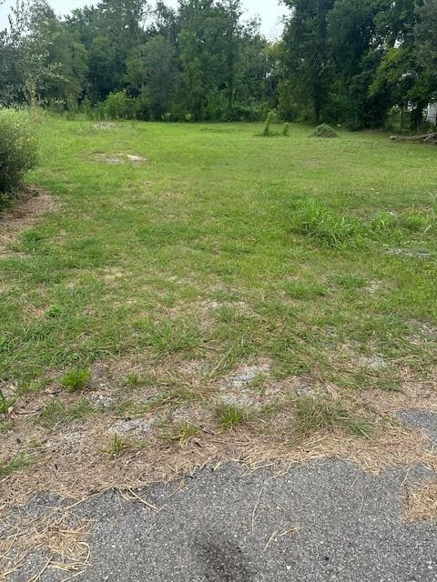 4419 Mayflower St, Houston, TX 77051 - photo 2