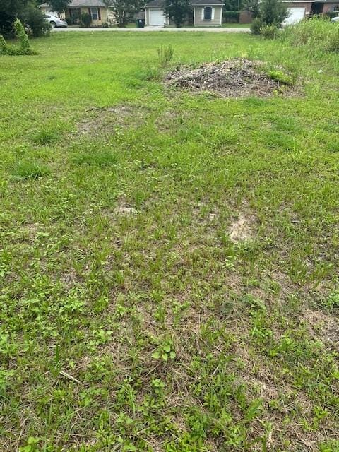 4419 Mayflower St, Houston, TX 77051 - photo 10
