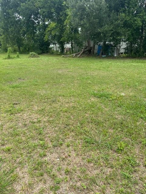 4419 Mayflower St, Houston, TX 77051 - photo 14