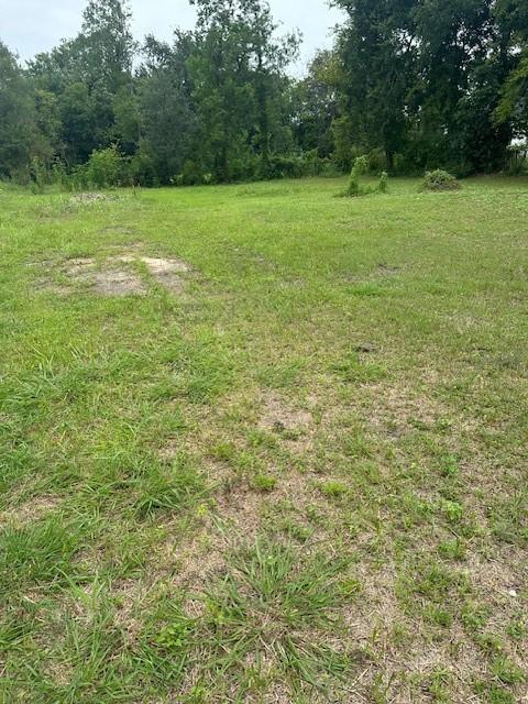 4419 Mayflower St, Houston, TX 77051 - photo 15