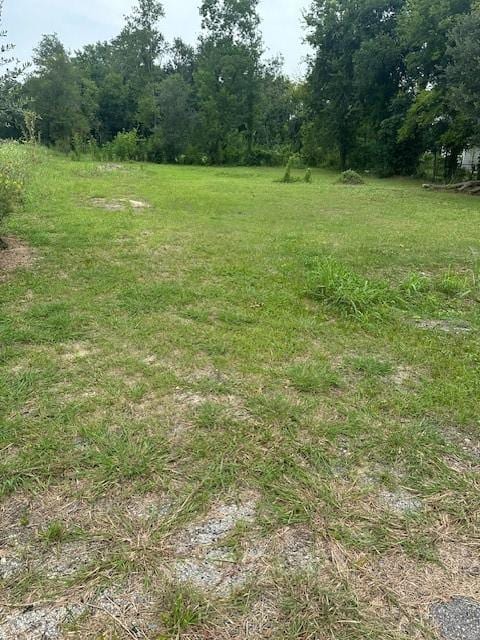 4419 Mayflower St, Houston, TX 77051 - photo 1