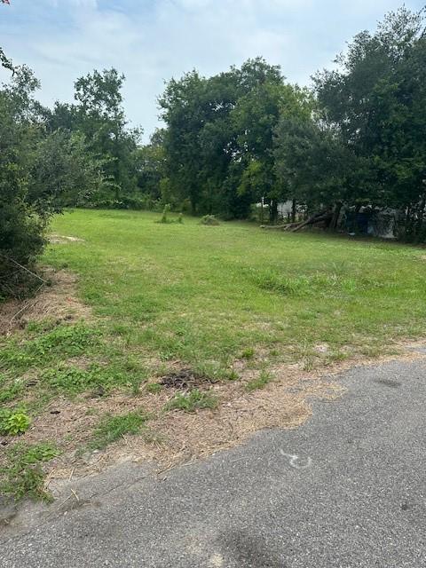 4419 Mayflower St, Houston, TX 77051 - photo 16