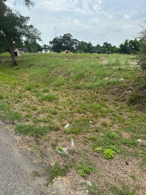 4419 Mayflower St, Houston, TX 77051 - photo 17