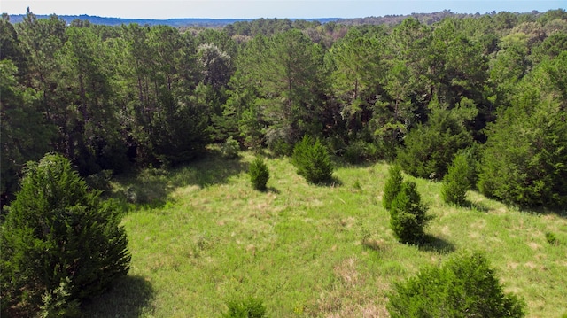 TBD Hilltop Lane, Huntsville, TX 77340 - photo 2
