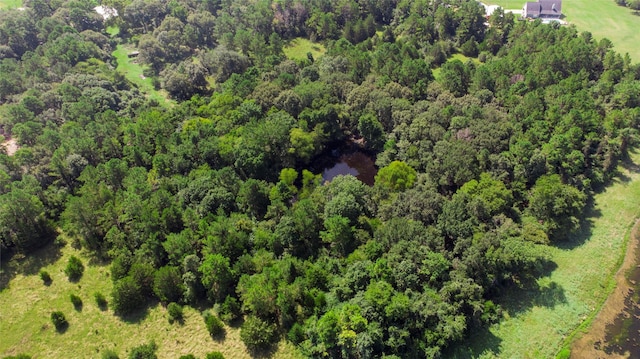 TBD Hilltop Lane, Huntsville, TX 77340 - photo 10