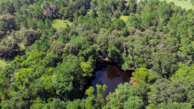 TBD Hilltop Lane, Huntsville, TX 77340 - photo 4