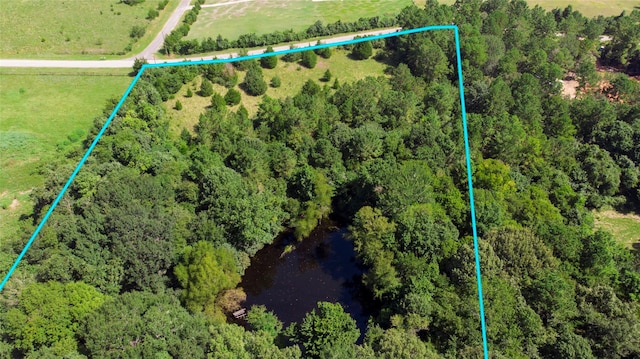 TBD Hilltop Lane, Huntsville, TX 77340 - photo 16