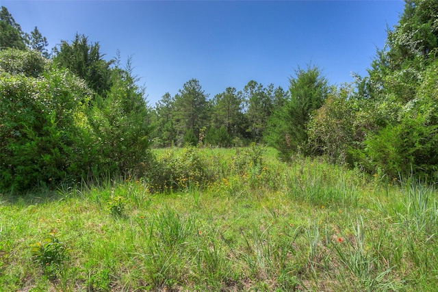 TBD Hilltop Lane, Huntsville, TX 77340 - photo 19