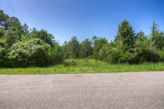 TBD Hilltop Lane, Huntsville, TX 77340 - photo 18