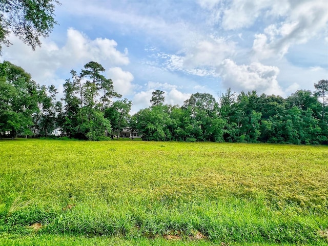 810 Springwood Dr, Conroe, TX 77385 - photo 19