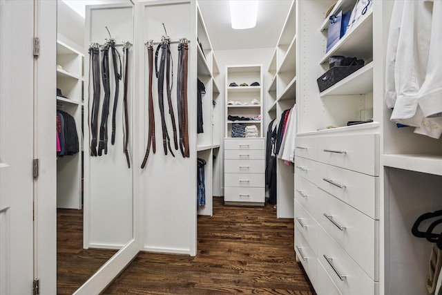 3747 Childress St, Houston, TX 77005 - photo 29