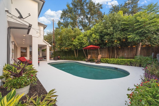 3747 Childress St, Houston, TX 77005 - photo 45