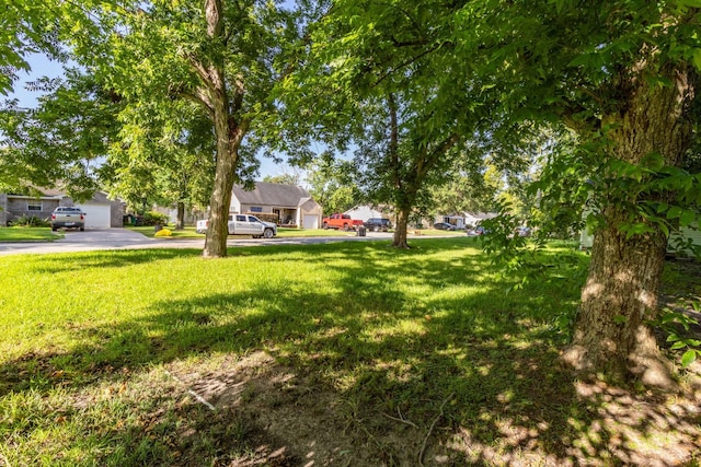 404 Harvey Ave, Baytown, TX 77520 - photo 9