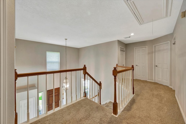 14519 Hillside Hickory Ct, Houston, TX 77062 - photo 33