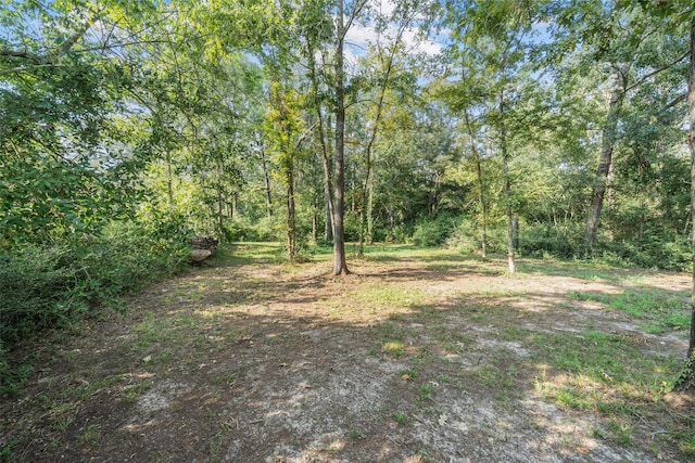 182 Yaupon Crk, Onalaska, TX 77360 - photo 29