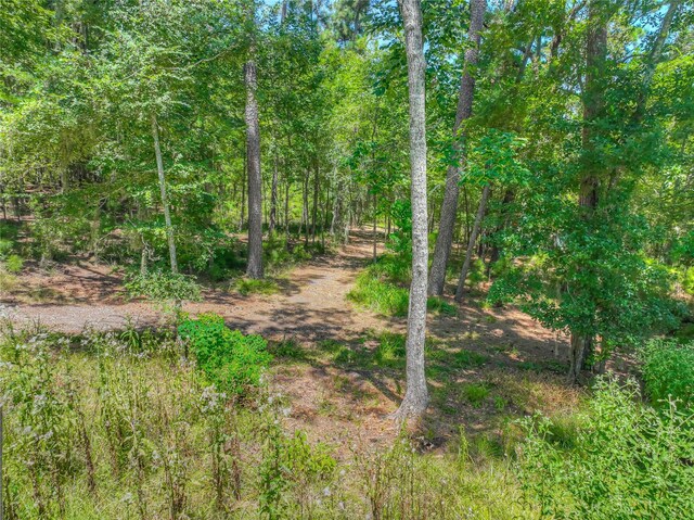 951 S Cape Royale Dr, Coldspring, TX 77331 - photo 33