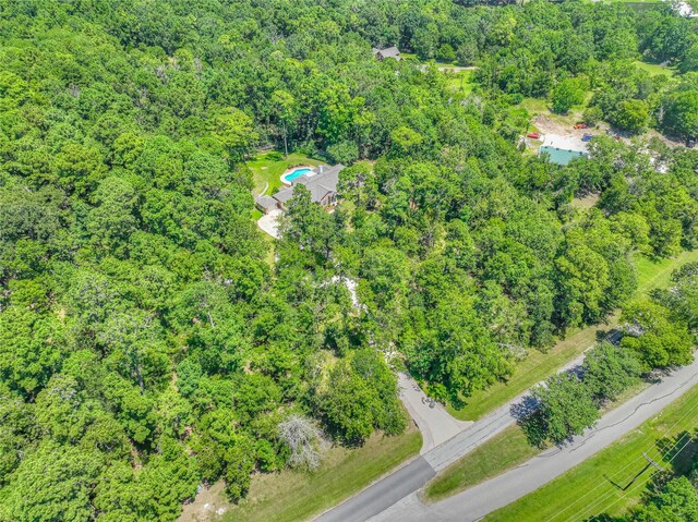 951 S Cape Royale Dr, Coldspring, TX 77331 - photo 30