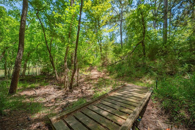 951 S Cape Royale Dr, Coldspring, TX 77331 - photo 37