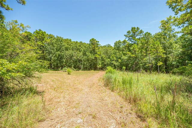 951 S Cape Royale Dr, Coldspring, TX 77331 - photo 35
