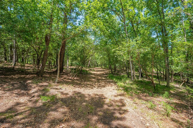 951 S Cape Royale Dr, Coldspring, TX 77331 - photo 32
