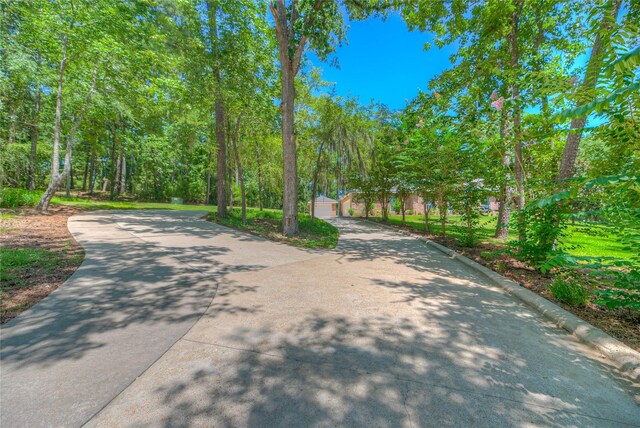 951 S Cape Royale Dr, Coldspring, TX 77331 - photo 28