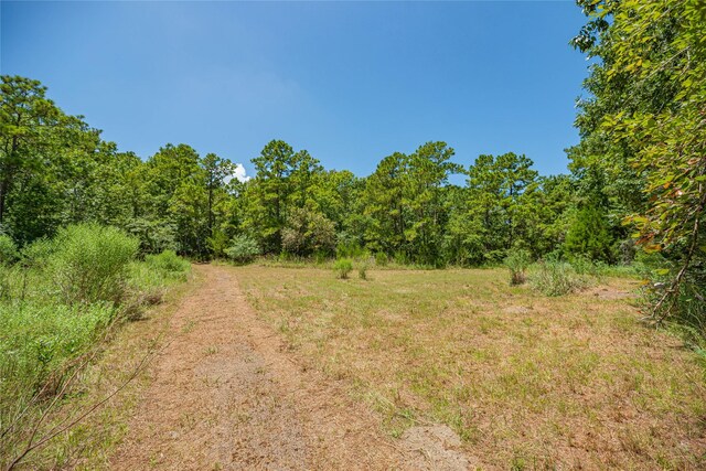 951 S Cape Royale Dr, Coldspring, TX 77331 - photo 34