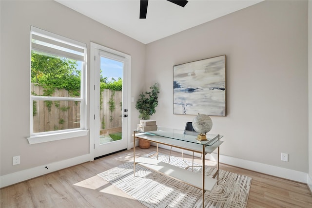 4013 Griggs Rd Unit D, Houston, TX 77021 - photo 4