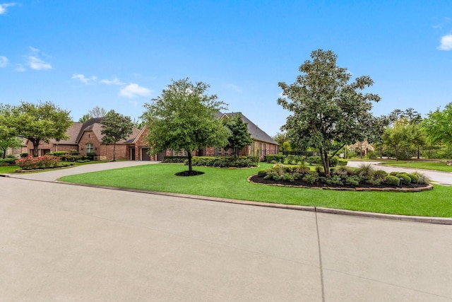 39 Spring Basket Trl, The Woodlands, TX 77389 - photo 4