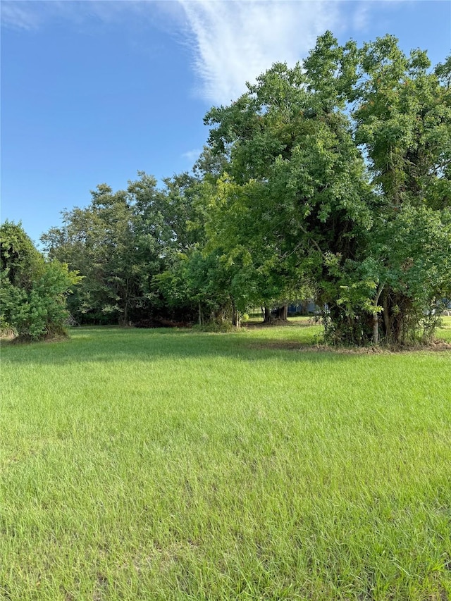 0 High Crest Dr, Point Blank, TX 77364 - photo 5