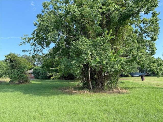 0 High Crest Dr, Point Blank, TX 77364 - photo 4