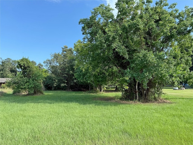 0 High Crest Dr, Point Blank, TX 77364 - photo 3